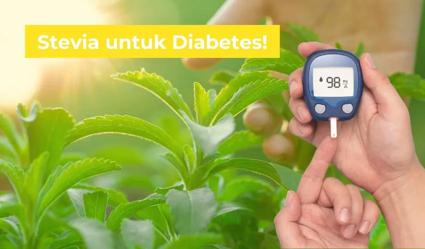 Stevia untuk Diabetes